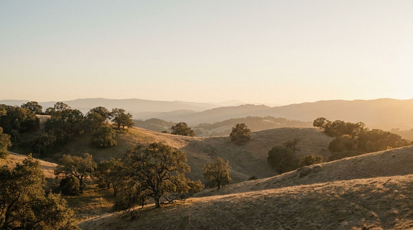 The South Bay foothills at golden hour.